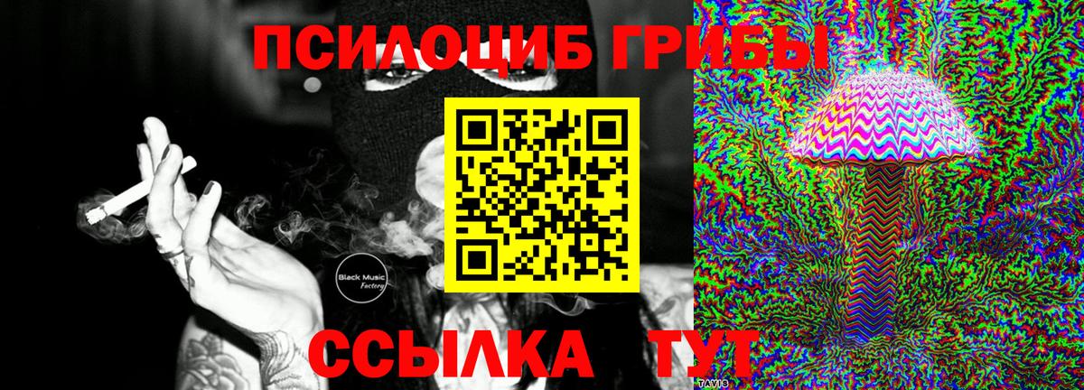 Феодосия  Псилоцибиновые грибы мицелий  купить наркотики сайты  Вход с VPN 